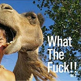 Telegram Group Picture