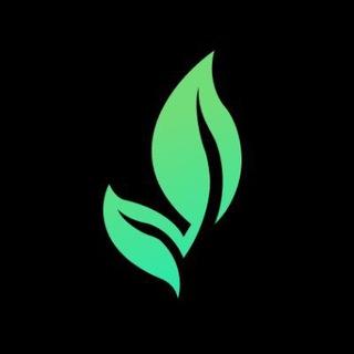 Telegram Group Picture