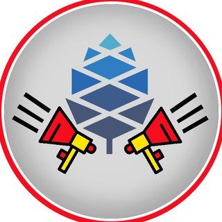 PINE64 News
