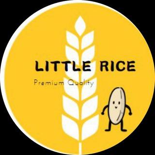Little Rice Gamefi and RO I 項目discussion group