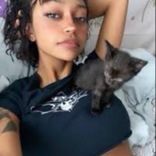 Telegram Group & Channel DataBase