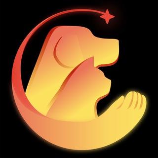 Питомцы Жулебино