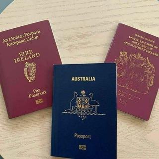 EU passport/ license documents