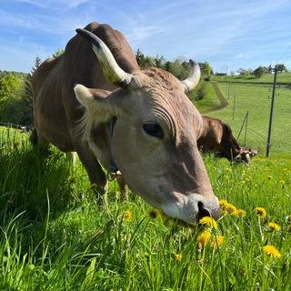 Biohof Bild, Ganterschwil (SG)