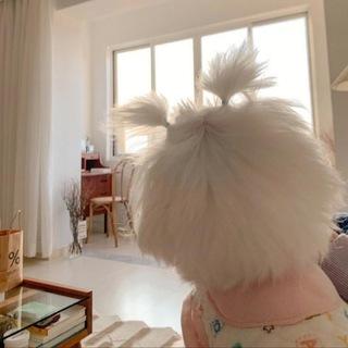 马尼拉狗仔群