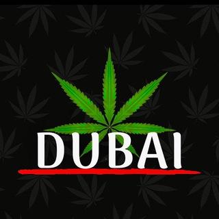 Cannabis in Dubaï 🇦🇪