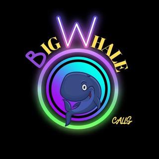 🐋Whales Discussion🦈
