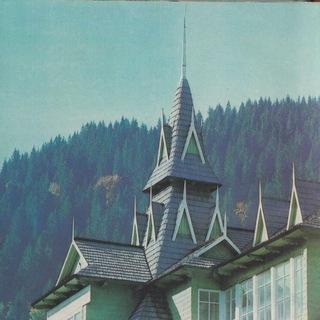 Telegram Group Picture