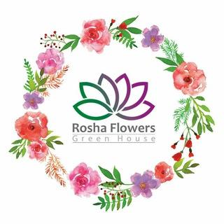 Rosha Flowers