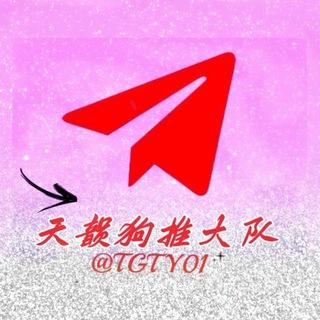 天韵狗推大队｜海外交流｜