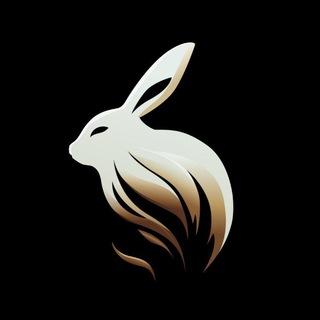 Moontok 月兔官方中文群