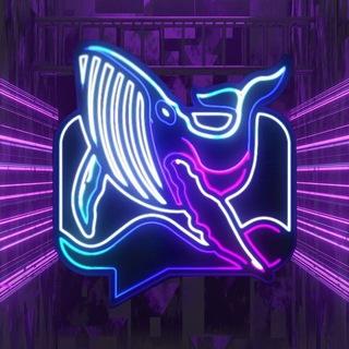 Whale Coin Talk
