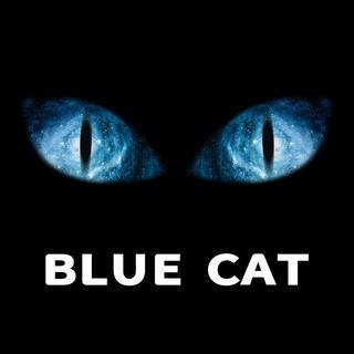 蓝猫社区