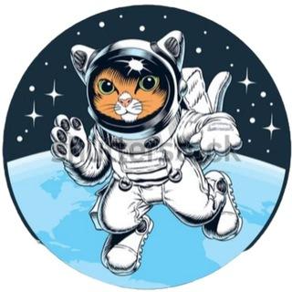 SPACECAT 太空猫中文社区 🇨🇳 🇨🇳