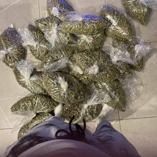 Official Marijuana Exotics⛽