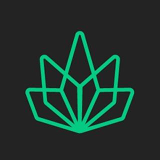 RastaSwap Chat - Chinese