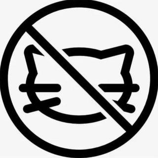 CAT IN A BLENDER FULL