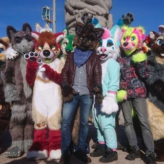 Furmeets Norge