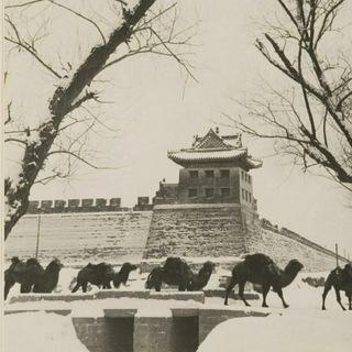 北京同城
