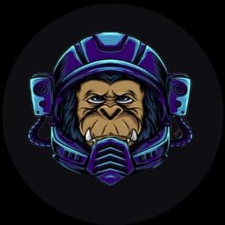 Titi Financial 中文社区