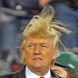 Trumps Haircut (fun, memes, gifs, pew)