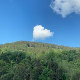 Leben im Jahreskreis