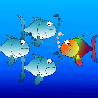 Sprüche zum Nachdenken 🐟