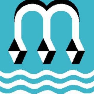 Maasveren stremmingen