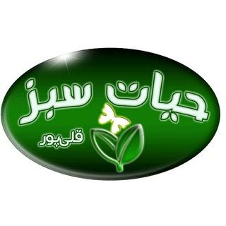 فروشگاه محصولات سالم حیات سبز