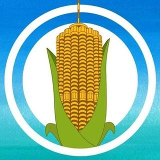 Аугсбург LIVE