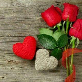 💞قلبهای آرام💞
