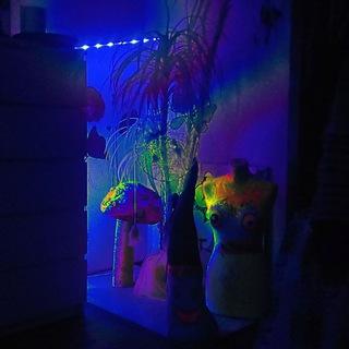Psykologne