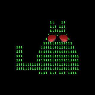 Двоичный кот