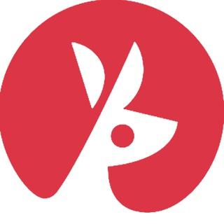 袋鼠加速|支持抖音改IP的机场