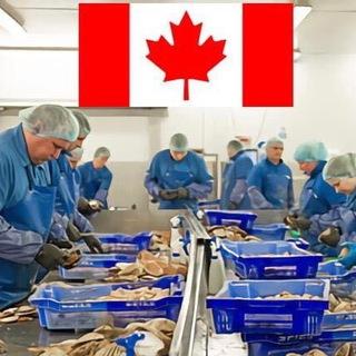 Jobs In Canada 🇨🇦