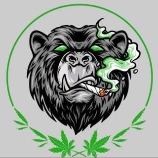 💊🍄The High Plane🍁💨💳