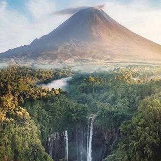 ☆꧁ Nαƚυɾҽ Iʂ Lιƚ ꧂☆