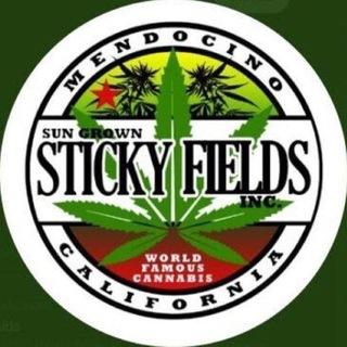 Sticky Fields