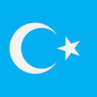 东突厥-为自由而战