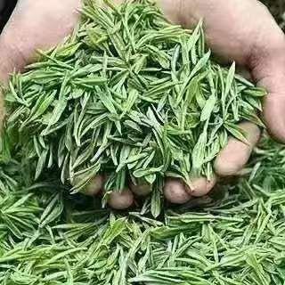 歡迎加入Tg群 aa64370192