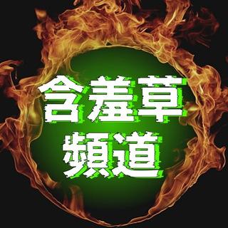 🍀含羞草頻道-裝備支援🎵(音樂交友群)