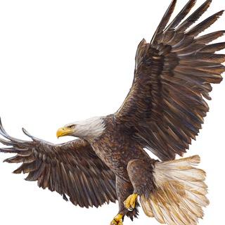 Hội tối cổ SS1