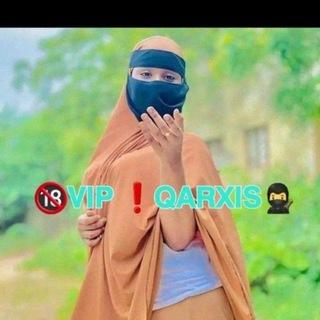 Telegram Group Picture