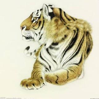 柬埔寨园区黑名单 通缉 曝光🔥