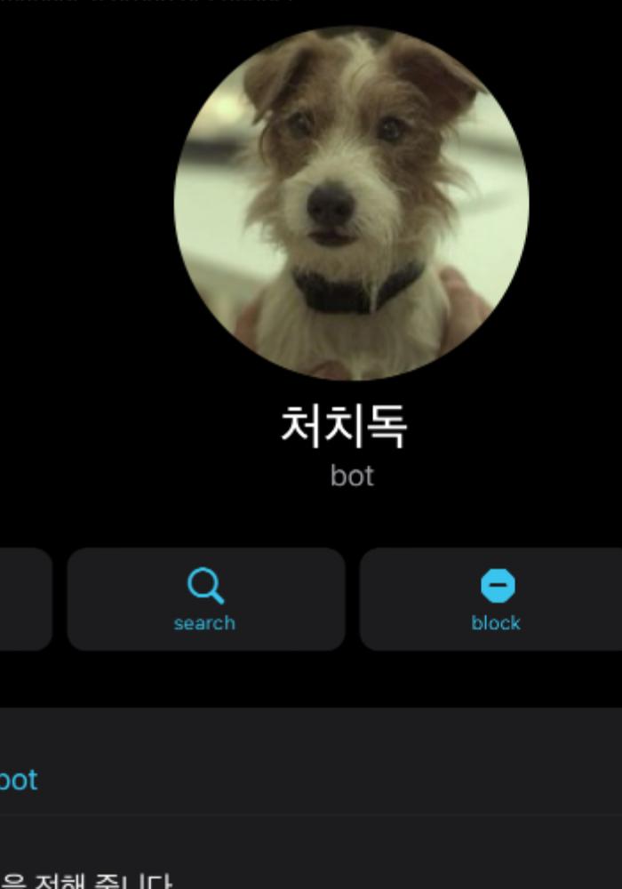 Telegram Bot Screen