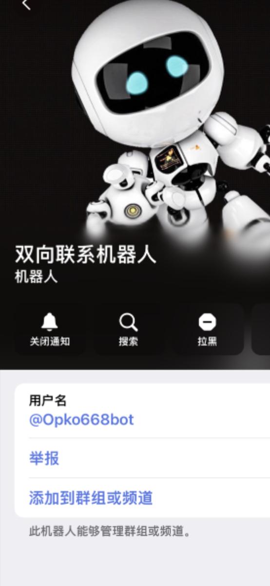 Telegram Bot Screen