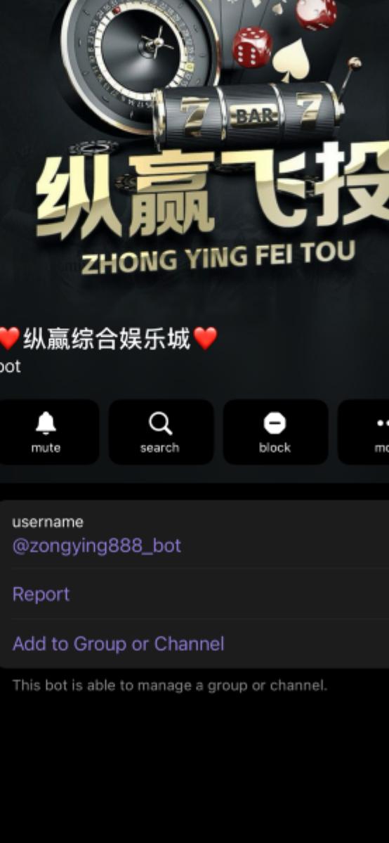 Telegram Bot Screen