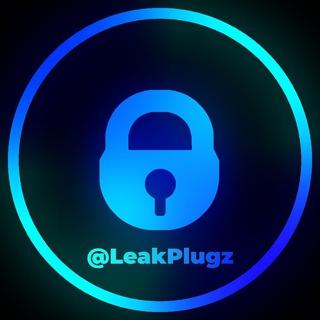 LeakPlugz