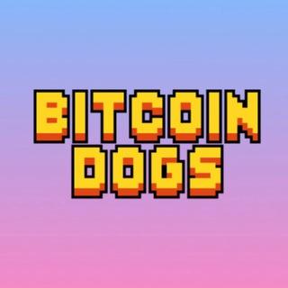Bitcoin Dogs Club | Official
