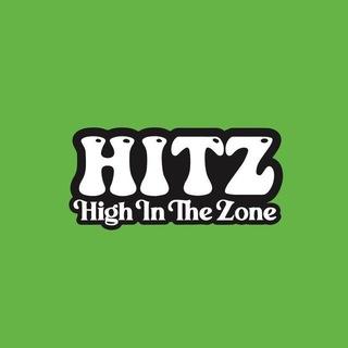 HIGH IN THE ZONE